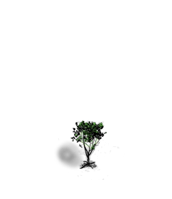 Blacktree (green)
